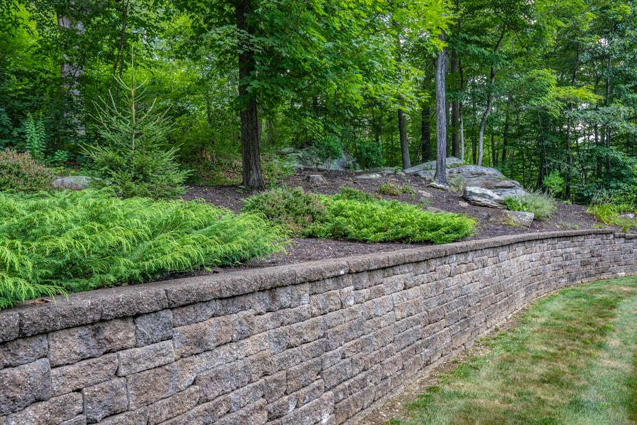 16 Devonshire Lane Photo 10
