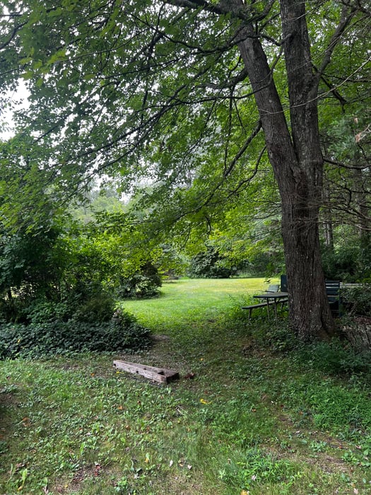 179 Route 81 Photo 6