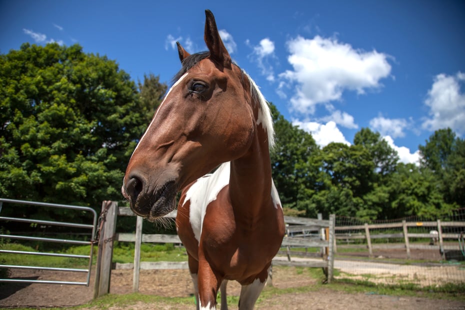 389 Trailsend Drive Photo 28