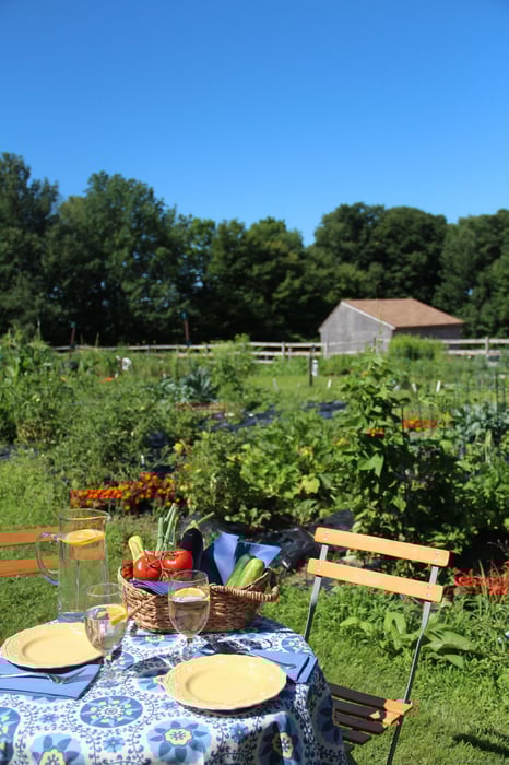 389 Trailsend Drive Photo 38