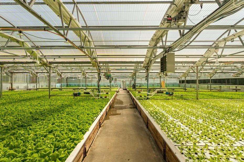 57 Northwest Corner Road Photo 40