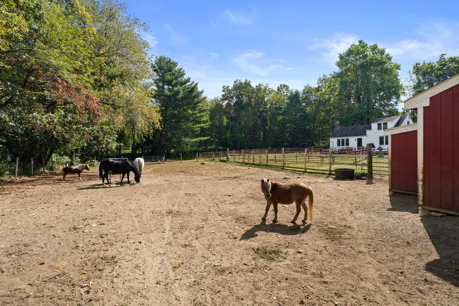 298 Kenyon Road Photo 37