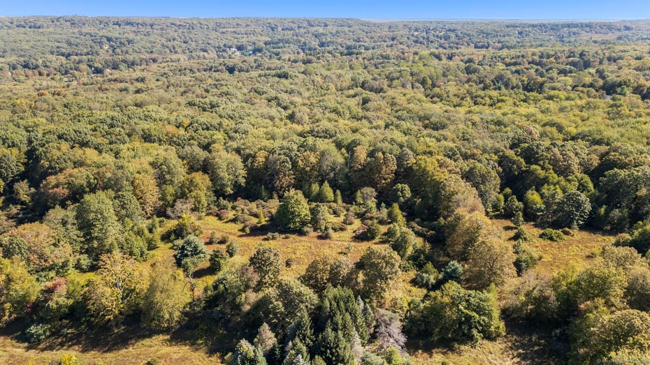 62 Codfish Hill Road Photo 22