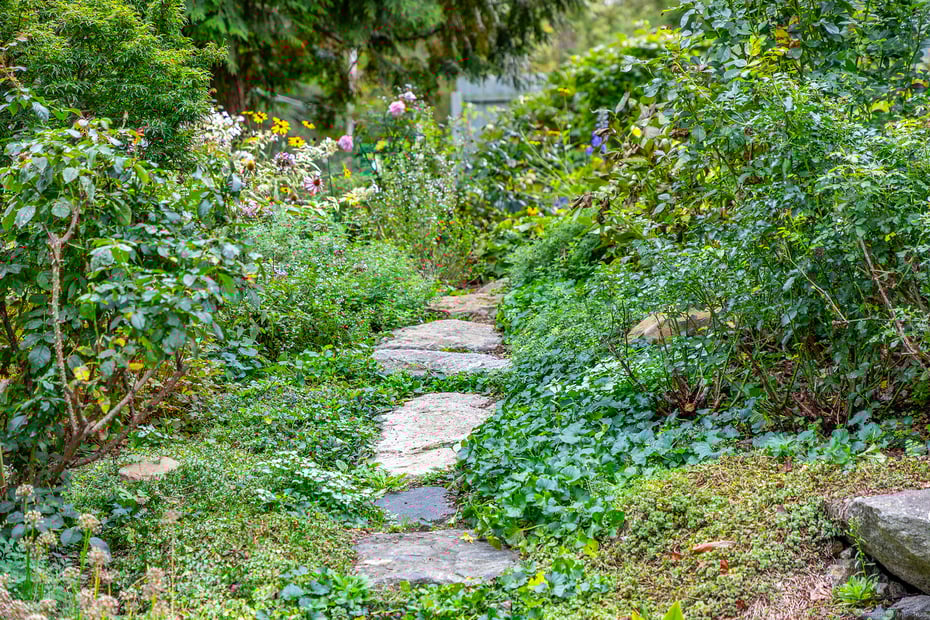 107 Island Trail Photo 5