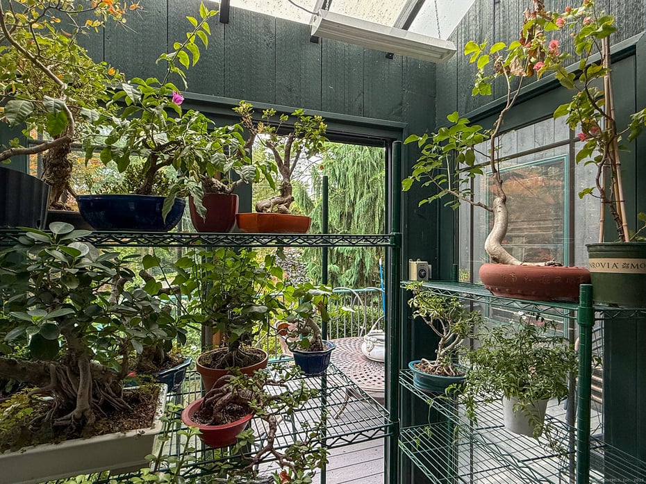 107 Island Trail Photo 22