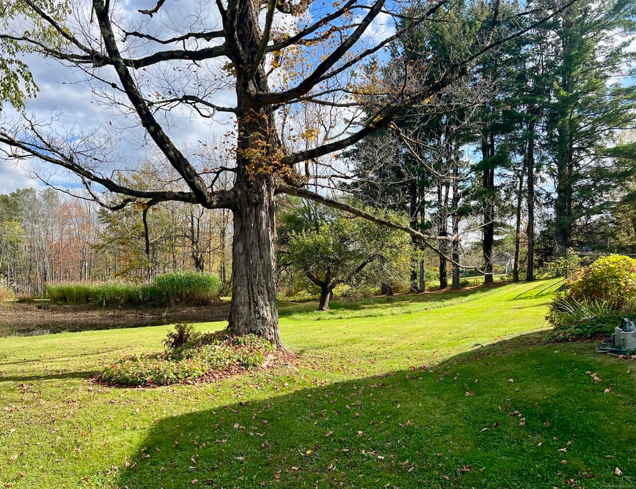 123 Goshen East Street Photo 10