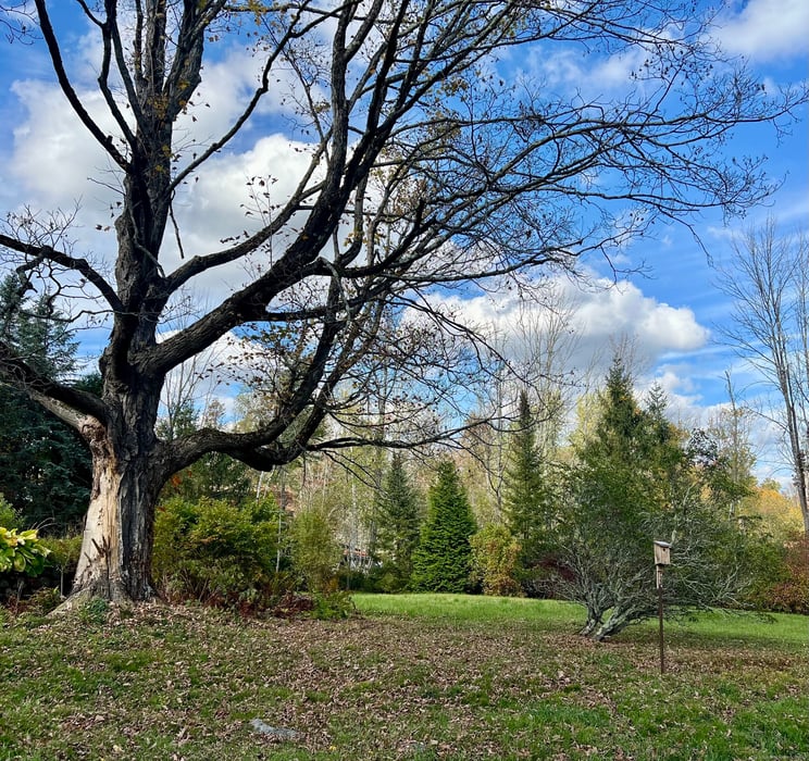 123 Goshen East Street Photo 12