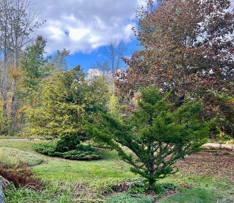 123 Goshen East Street Photo 15