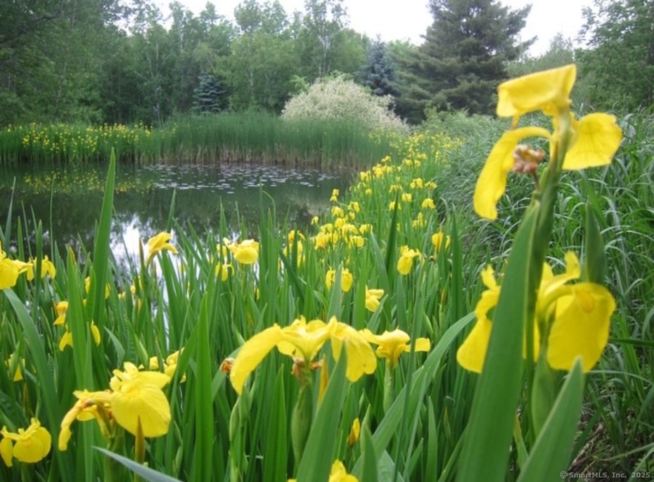 123 Goshen East Street Photo 18