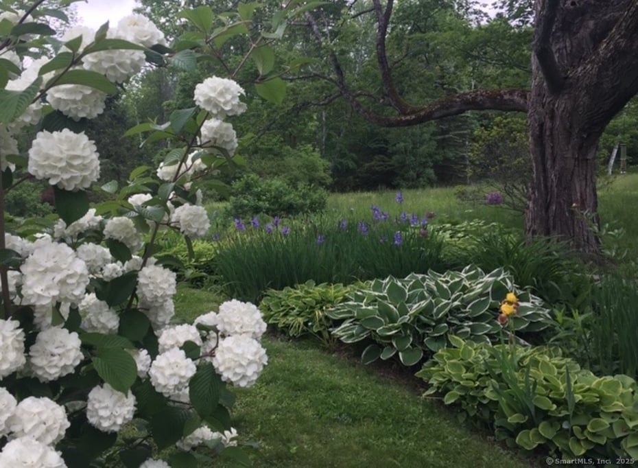 123 Goshen East Street Photo 19