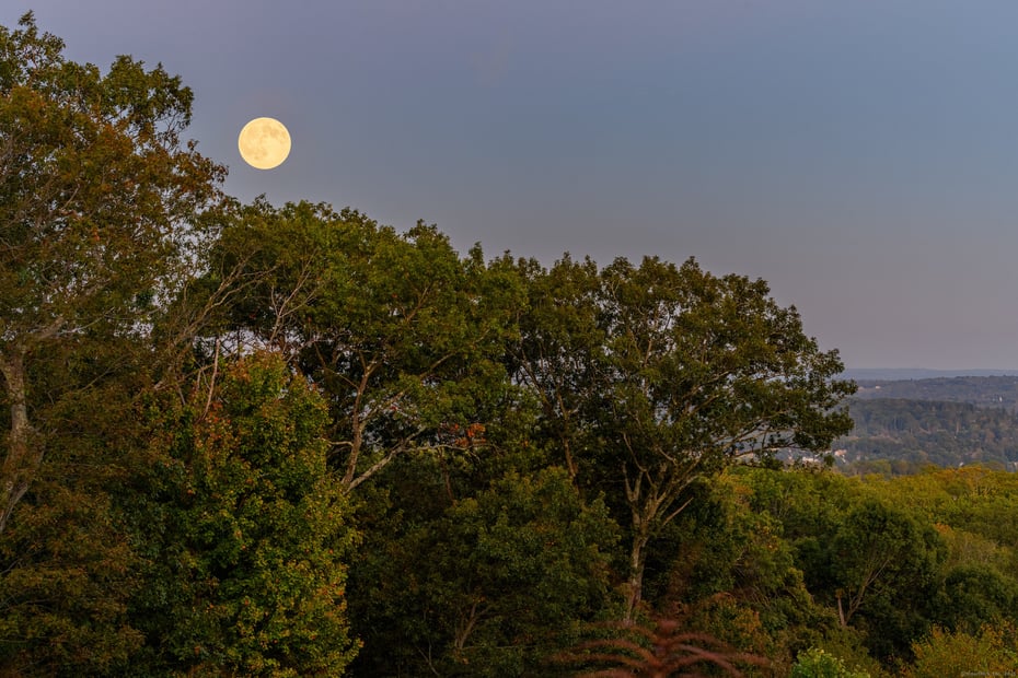 6a Rock Ridge Court Photo 37