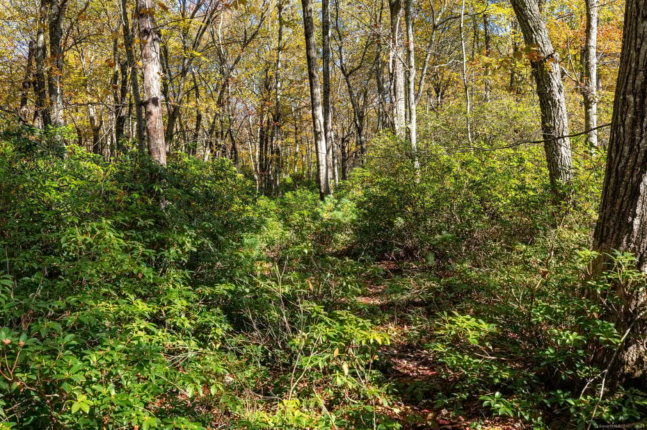 20 Edgerton Road Photo 5