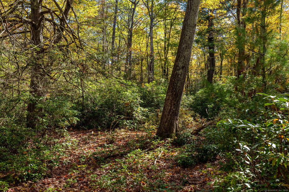 20 Edgerton Road Photo 6