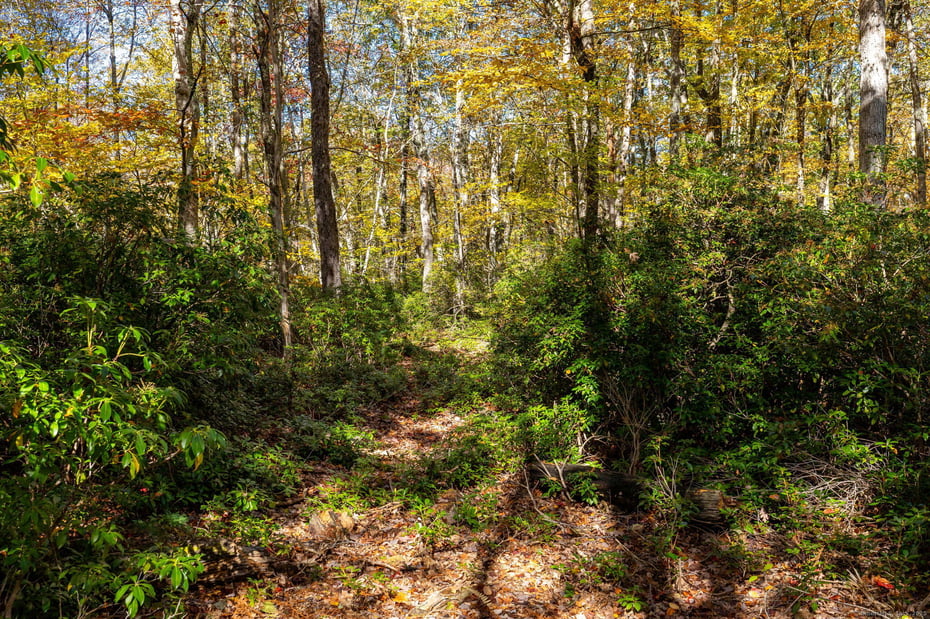 20 Edgerton Road Photo 7