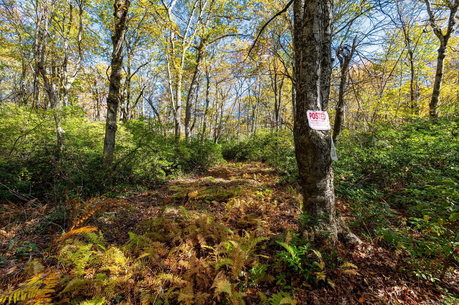 20 Edgerton Road Photo 10