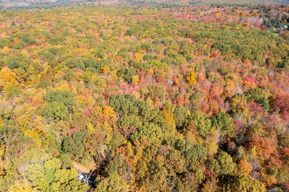 20 Edgerton Road Photo 11