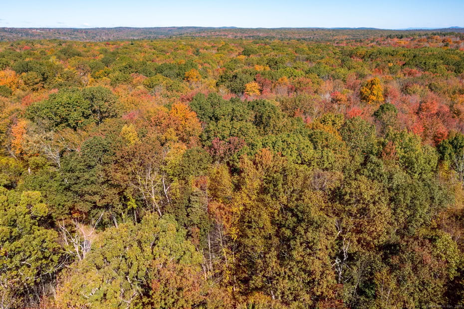 20 Edgerton Road Photo 12