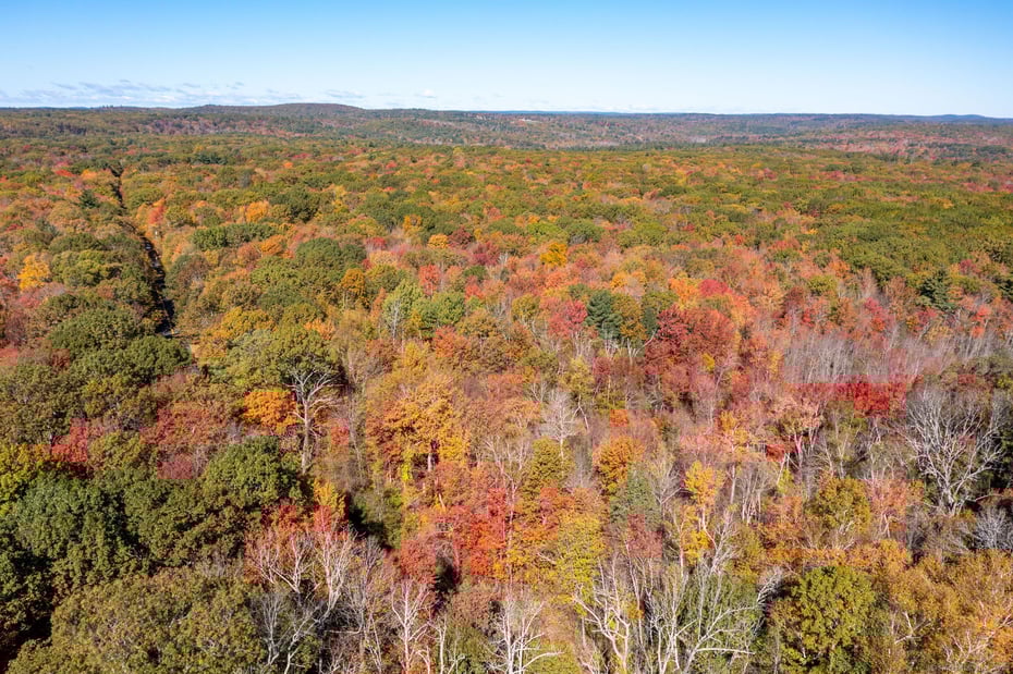 20 Edgerton Road Photo 16