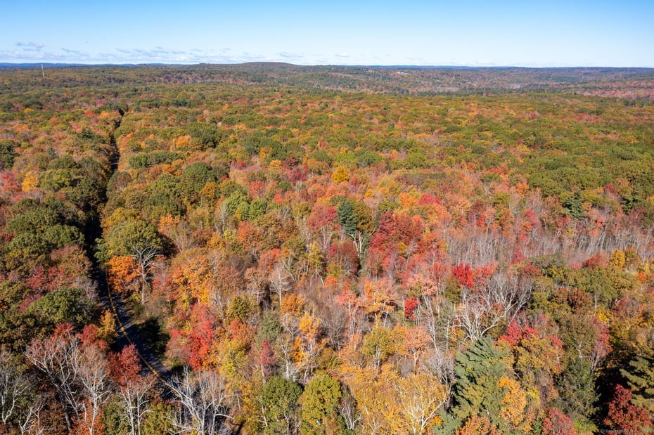 20 Edgerton Road Photo 17