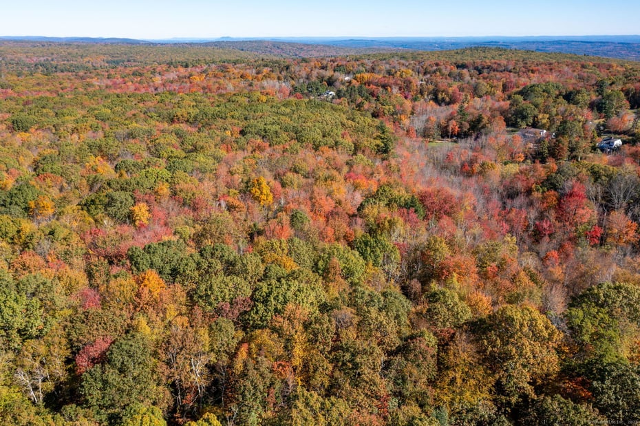 20 Edgerton Road Photo 19