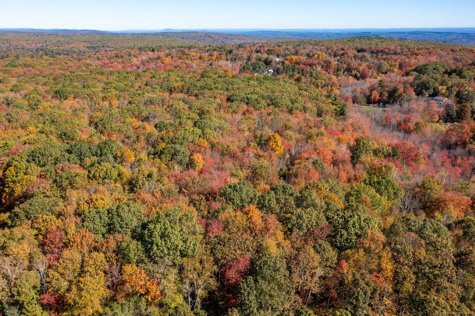 20 Edgerton Road Photo 20