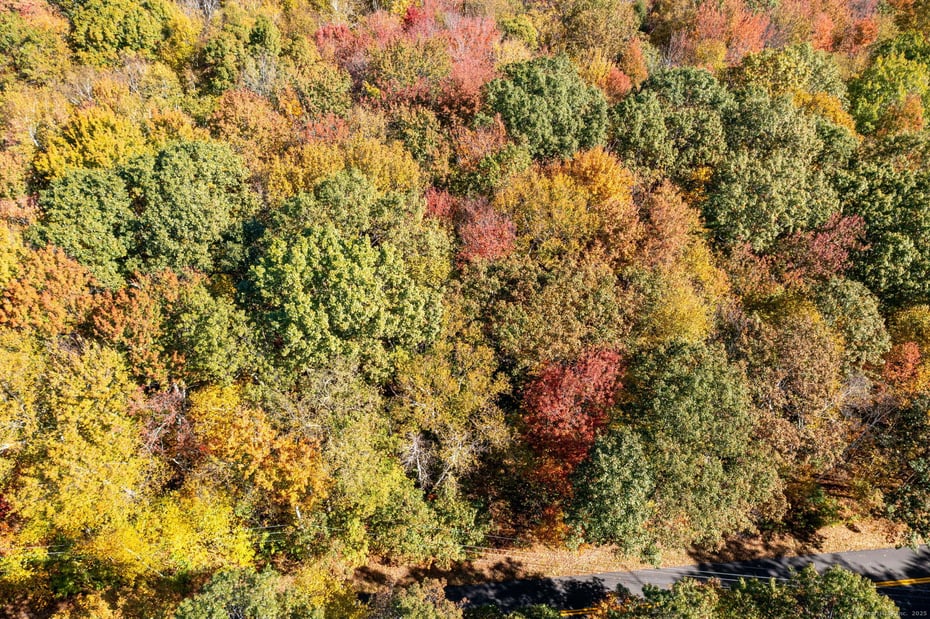 20 Edgerton Road Photo 25