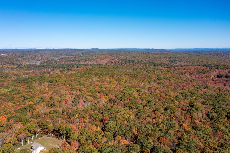 20 Edgerton Road Photo 26