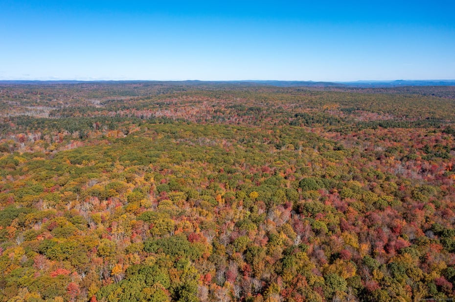 20 Edgerton Road Photo 28