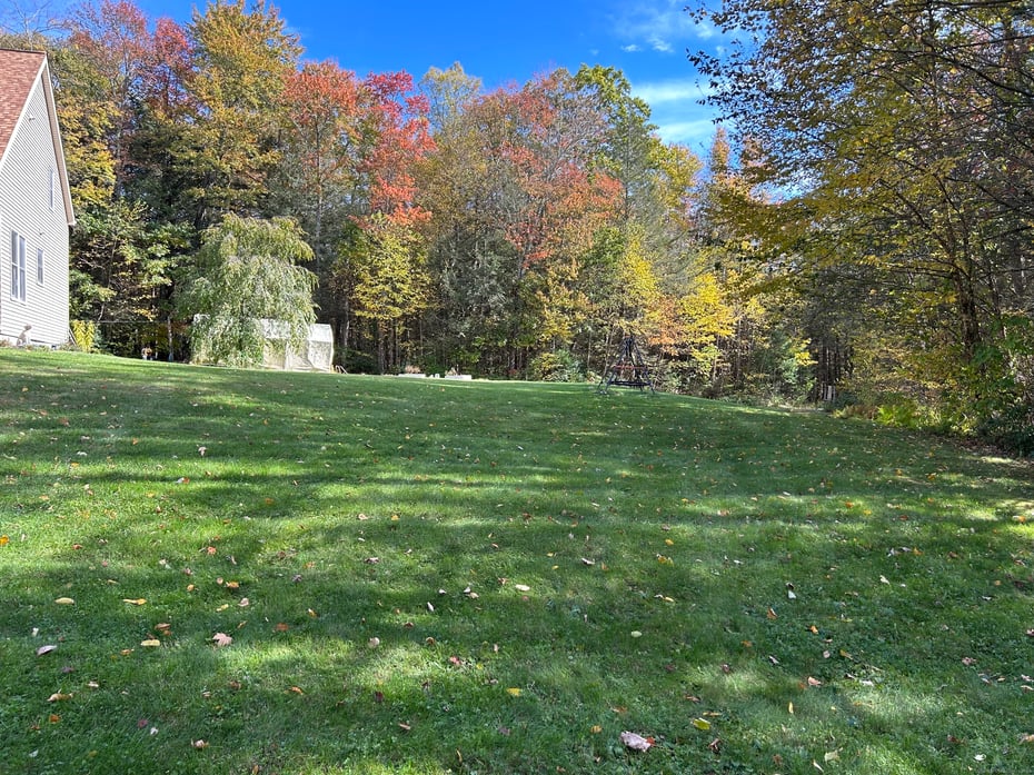 106a Pinney Street Photo 3