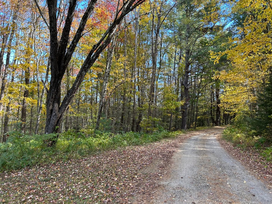 106a Pinney Street Photo 5