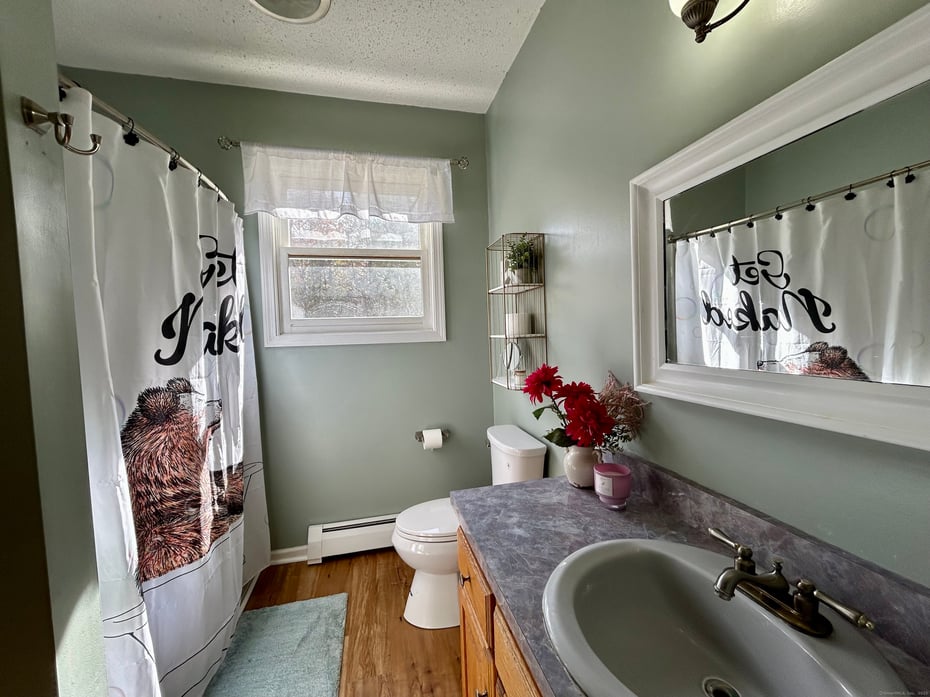 106a Pinney Street Photo 16