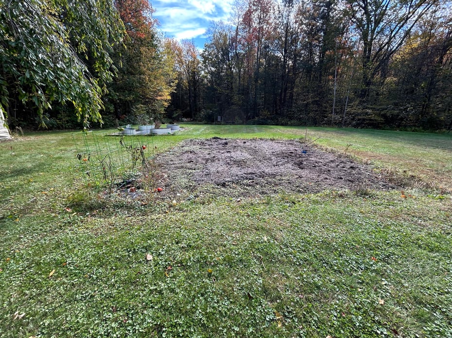 106a Pinney Street Photo 37