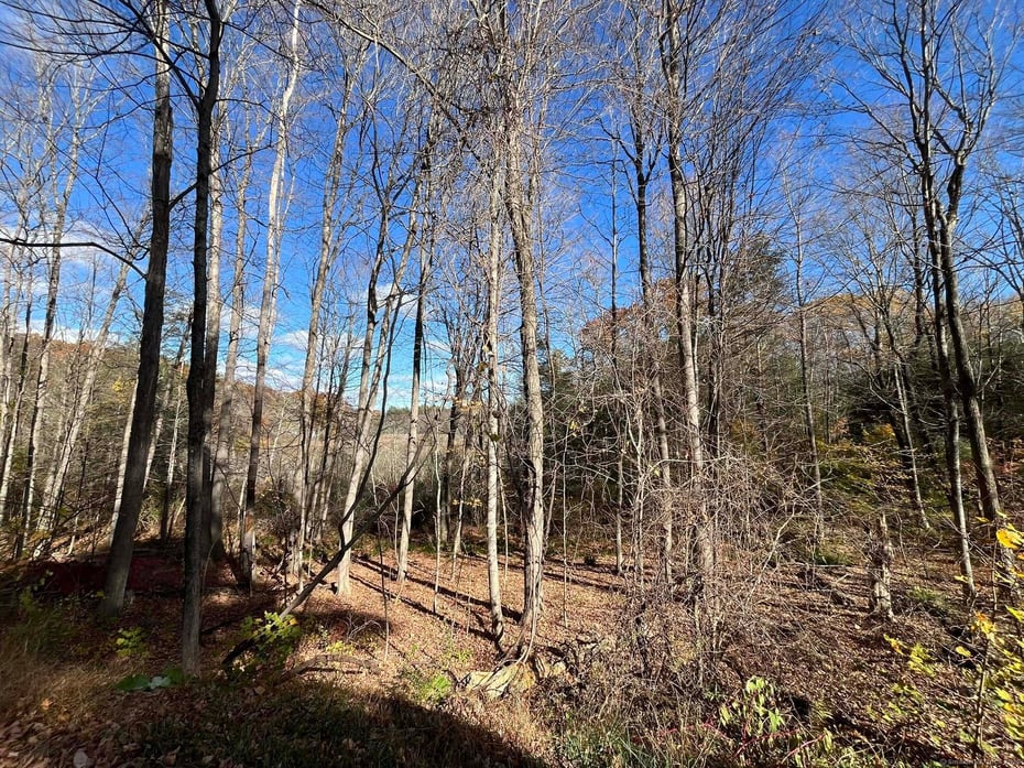 200 W. West Hill Rd Road Photo 8