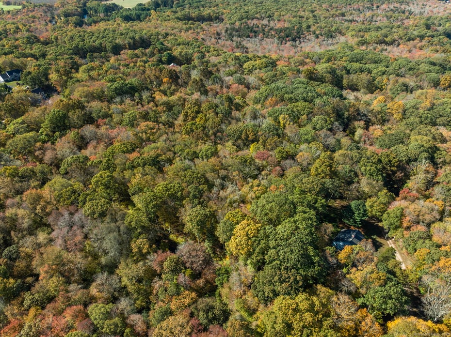 16 North Anguilla Road Photo 2