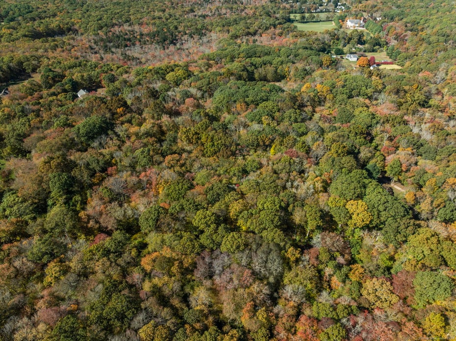 16 North Anguilla Road Photo 3