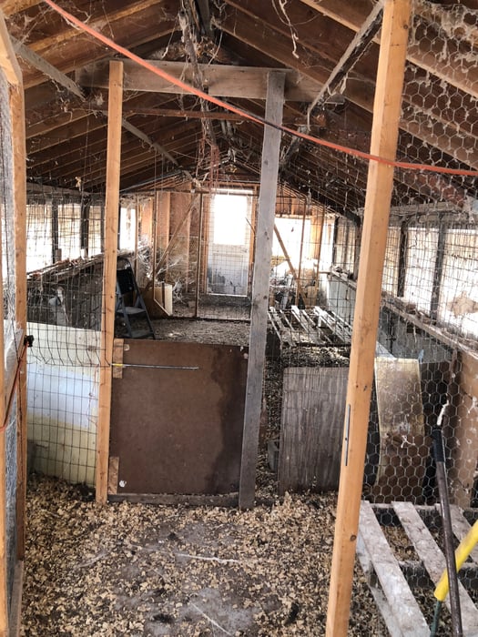 11 Shantry Road Photo 4