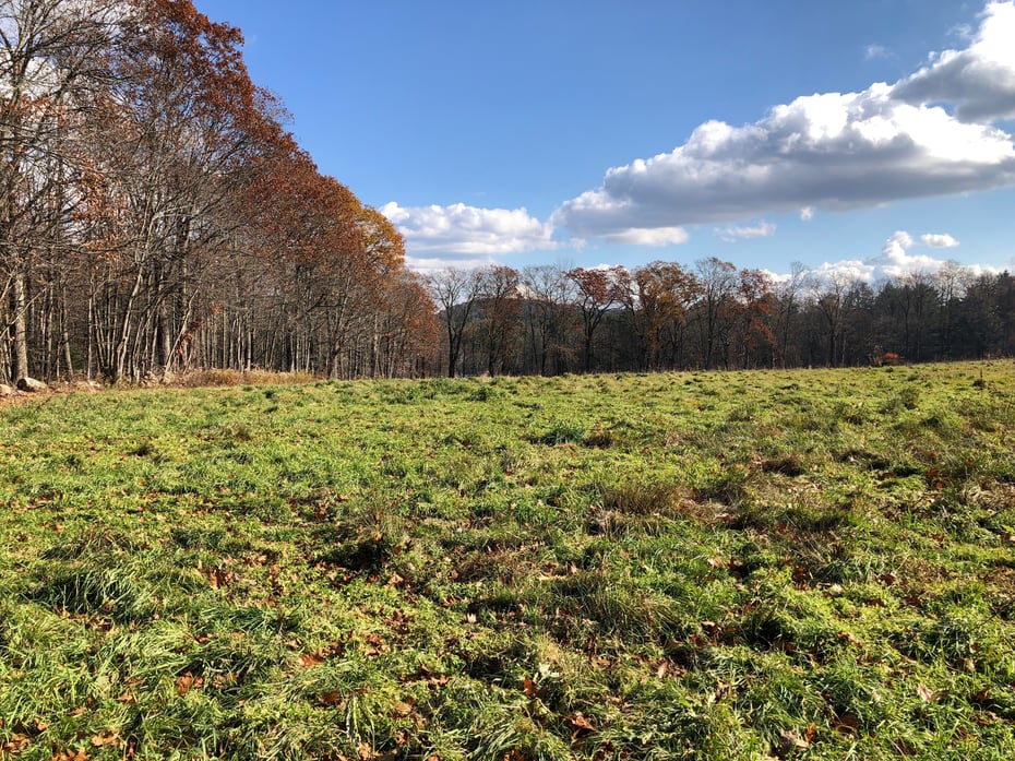 11 Shantry Road Photo 11