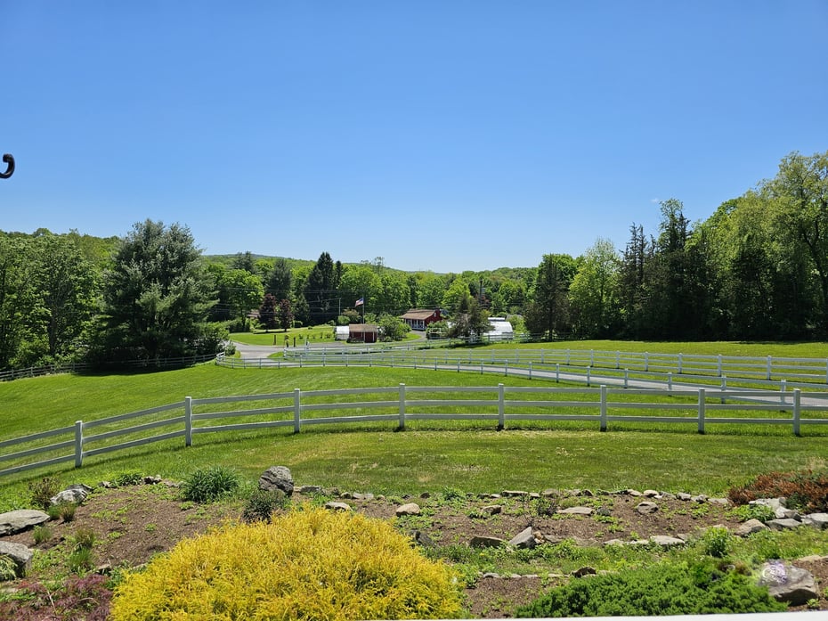 819 Main Street North Photo 9