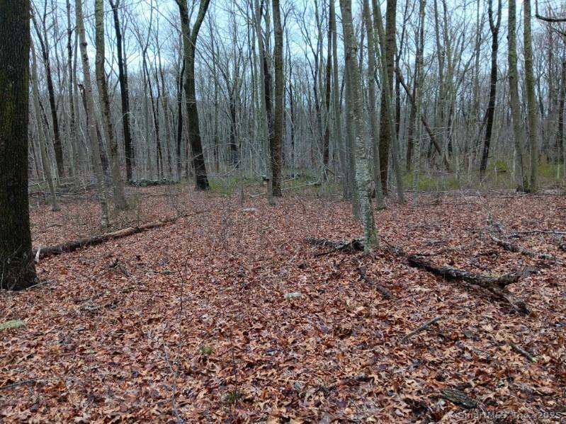 53 Shanaghans Road Photo 10