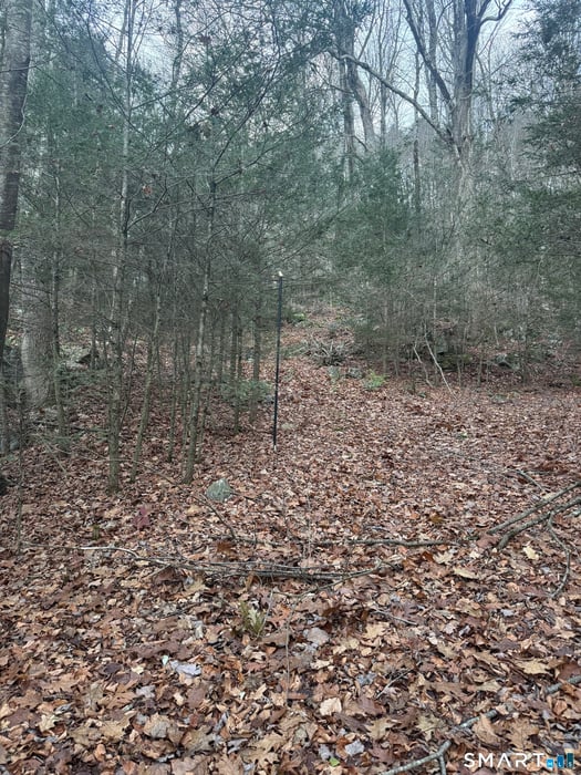 425 Colebrook River Road Photo 3