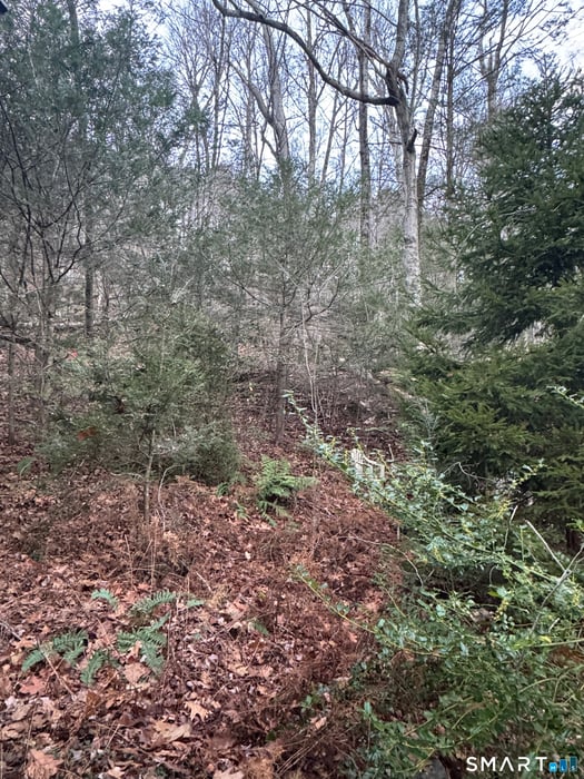 425 Colebrook River Road Photo 4