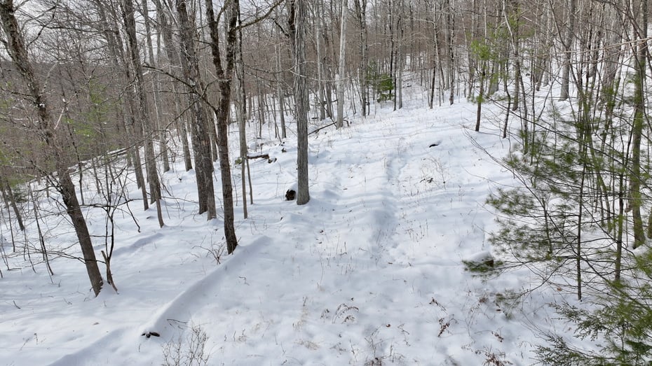 Prock Hill Road Photo 6