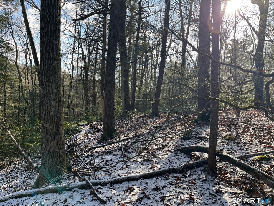 00 Hartland Boulevard Photo 10