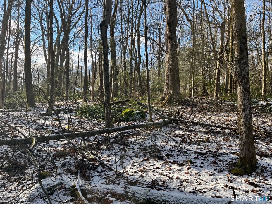 00 Hartland Boulevard Photo 12