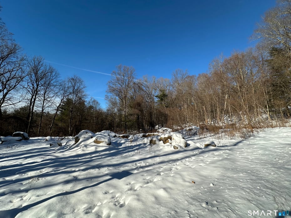 13 Meadow Street Photo 10