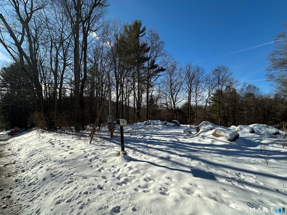 13 Meadow Street Photo 11