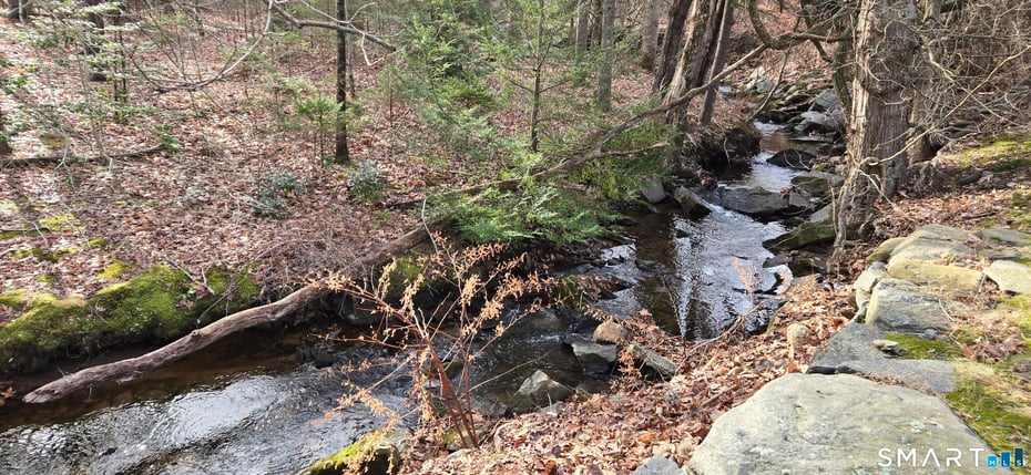 26 Ferry Road Photo 21