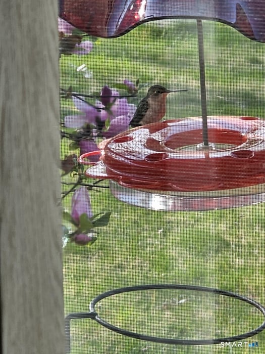 455 Chesterfield Road Photo 28