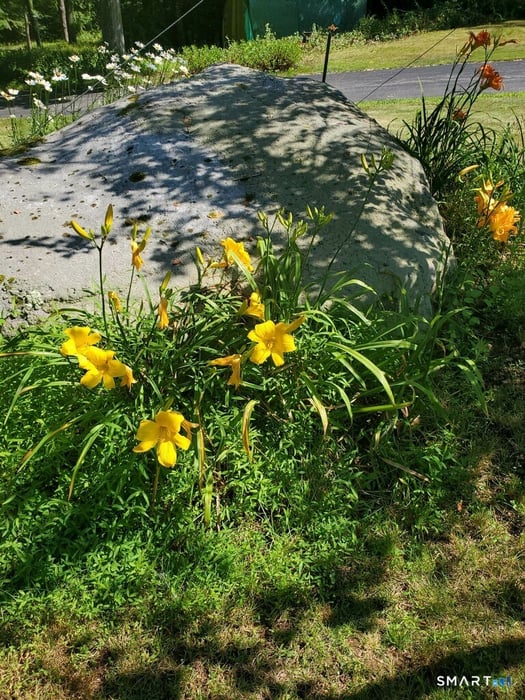 455 Chesterfield Road Photo 37