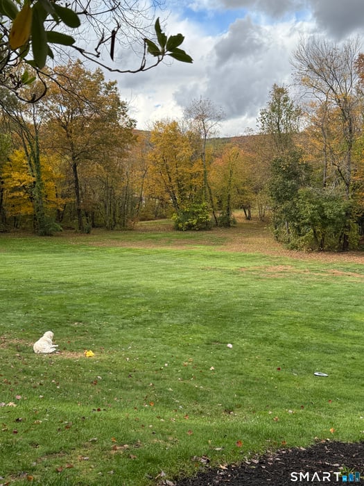 324 Old Farms Road Photo 4